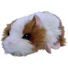 Meerschweinchen gold weiß gebraucht kaufen  Neusäß