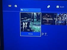 Sony playstation ps4 usato  Perugia
