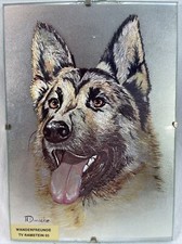 Warren dufex gold for sale  Rochelle