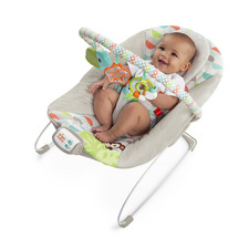 Bright starts babyschaukel gebraucht kaufen  Oyten