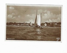 krauskopf gebraucht kaufen krauskopf gebraucht kaufen Michendorf