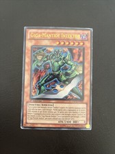 Carta giga mantide usato  Montalto Uffugo