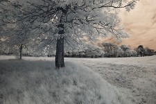 Nikon d3000 infrared d'occasion  Expédié en Belgium