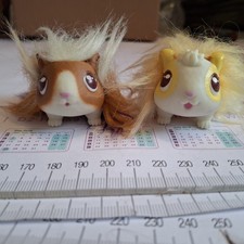 Little live pets for sale  KEIGHLEY
