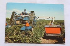 Cpm 1980 wine d'occasion  Expédié en Belgium