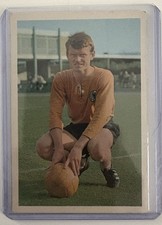 Bergmann verlag sepp gebraucht kaufen  Köln