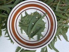 Organic eucalyptus leaves for sale  Honolulu