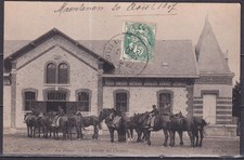 mors liverpool chevaux d'occasion mors liverpool chevaux d'occasion  Saint-Denis