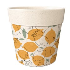Cache pot bambou d'occasion  Gordes