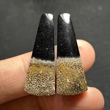 Cabochão par de madeira palma petrificada 30x11x4mm alta qualidade 10 ct (cada) comprar usado  Enviando para Brazil