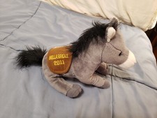 Delaware park horse for sale  Marlton
