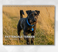 Patterdale terrier calendar for sale  HORSHAM