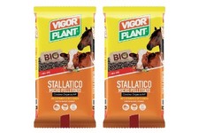 Vigorplant stallatico mini usato  Bisceglie