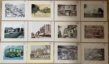 Dozen gravesend mounted for sale  SEVENOAKS