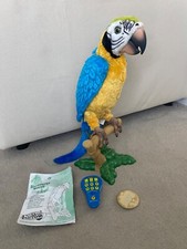 Squawkers mccaw talking for sale  BRISTOL
