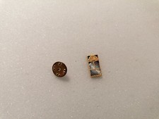Distintivo pin badge usato  Viareggio