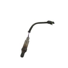 Sonda lambda renault usato  Castagnaro