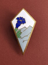 Militaria ancien insigne d'occasion  Colmar