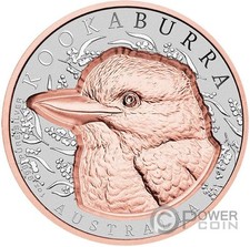 Kookaburra native impressions usato  Ciampino