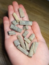 Crinoid fossils dinosaur for sale  SOLIHULL
