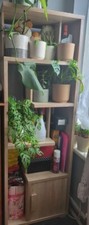Cambourne drawer display for sale  DAGENHAM