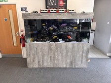 Large fish tank for sale  LONDON