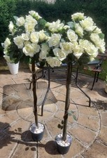 wedding rose trees for sale wedding rose trees for sale LEICESTER
