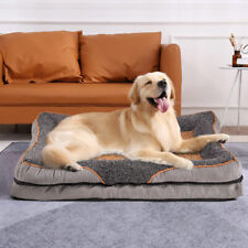 Extra large dog for sale  MANCHESTER