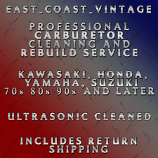 Professional carburetor rebuil for sale  Ghent