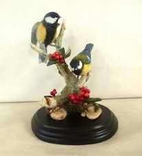 Country artists birds for sale  BRECHIN