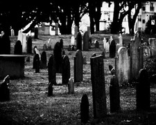 Print canvas graveyard for sale  Topsham