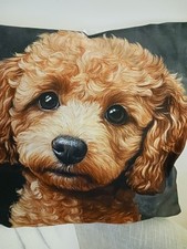 Calling dog lovers for sale  NORWICH