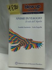 Libro anime viaggio usato  Anzio