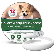 Collare antiparassitario per usato  Italia