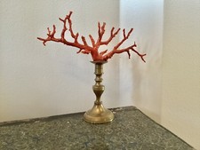 Belle branche corail d'occasion  Nice-
