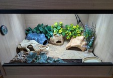 Vivarium terrarium leopard for sale  NOTTINGHAM