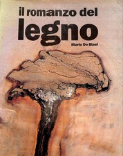 76104 romanzo del usato  San Benedetto del Tronto