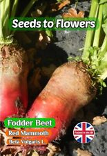 fodder beet for sale fodder beet for sale STOKE-ON-TRENT