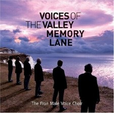 Voices valley memory for sale  UK