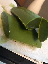 Natural organic leaf for sale  USA