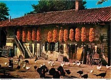 Ain bresse ferme d'occasion  Fruges