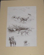 Coursing waterloo cup for sale  DUNMOW