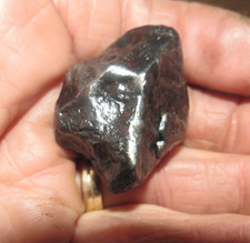 Canyon diablo iron for sale  Malone