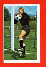 Gunter sawitki vfb usato  Porto Torres