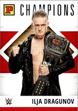 Card panini wwe usato  Italia