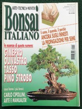 Rivista bonsai italiano usato  Venezia