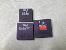Intel i486 intel for sale  Riverside