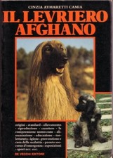 Levriero afghano cinzia usato  Priolo Gargallo