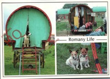 Picture postcard romany for sale  NEWCASTLE UPON TYNE