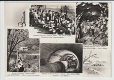 1955 cartolina ascoli usato  Foligno